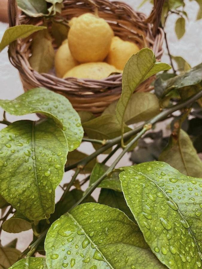La Dimora Della Dea Estia Βίλα Oria  Εξωτερικό φωτογραφία